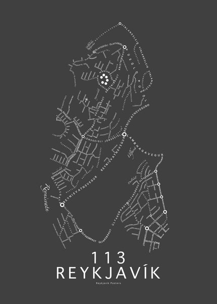 113 Reykjavík